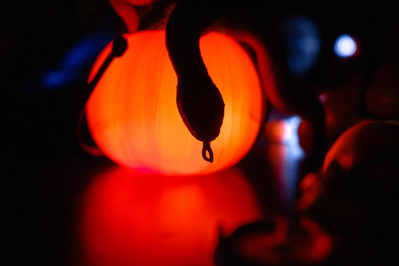 Украшение дома паутиной и летучими мышами к Хэллоуину в Tolyatti